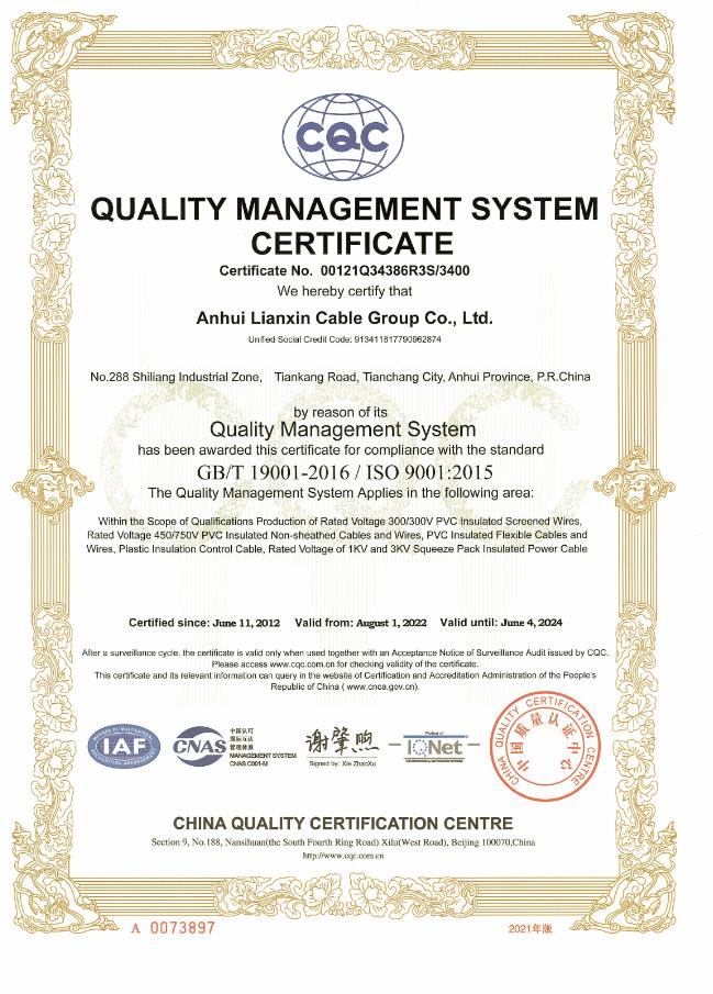 ISO9001（英文）