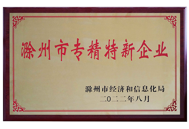 滁州市专精特新企业证书